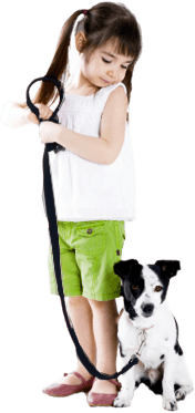 Pets and Kids Friendly Cleaning